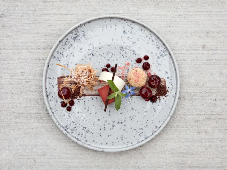 Gourmet-Dessert mit Schokolade, Beeren, Sahne und essbaren Blüten auf einem gesprenkelten Keramikteller
