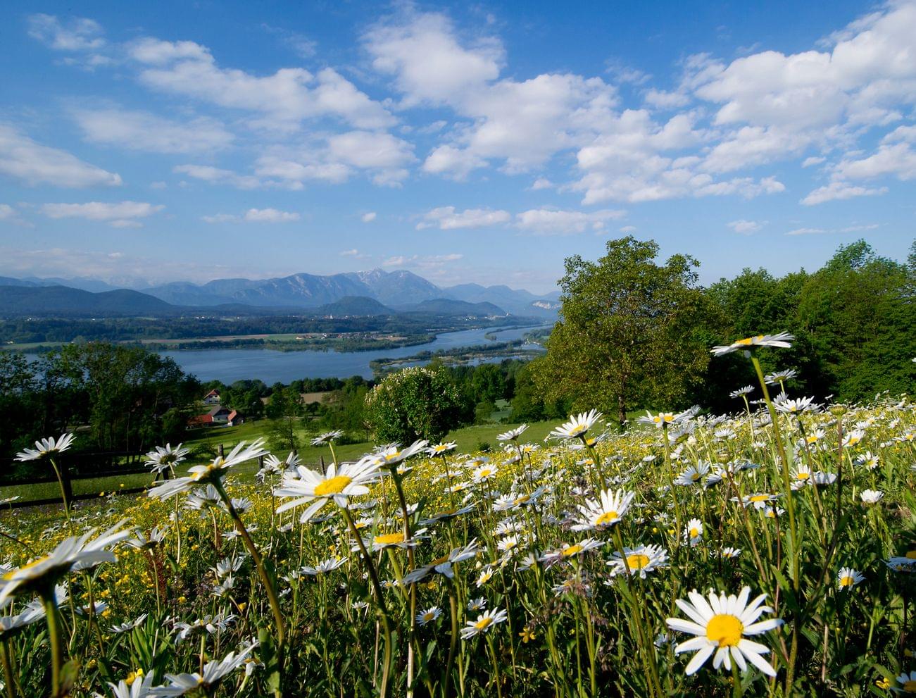 hotel-karnerhof-faaker-see-kaernten-blick-auf-die-drau.jpg