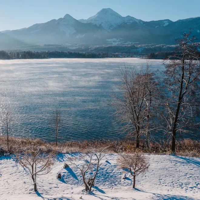 Riva innevata di un lago con alberi spogli e montagne sullo sfondo sotto il sole invernale