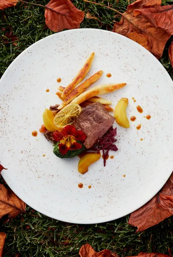 Gourmet beef dish with root vegetables and garnish on white plate surrounded by autumn leaves