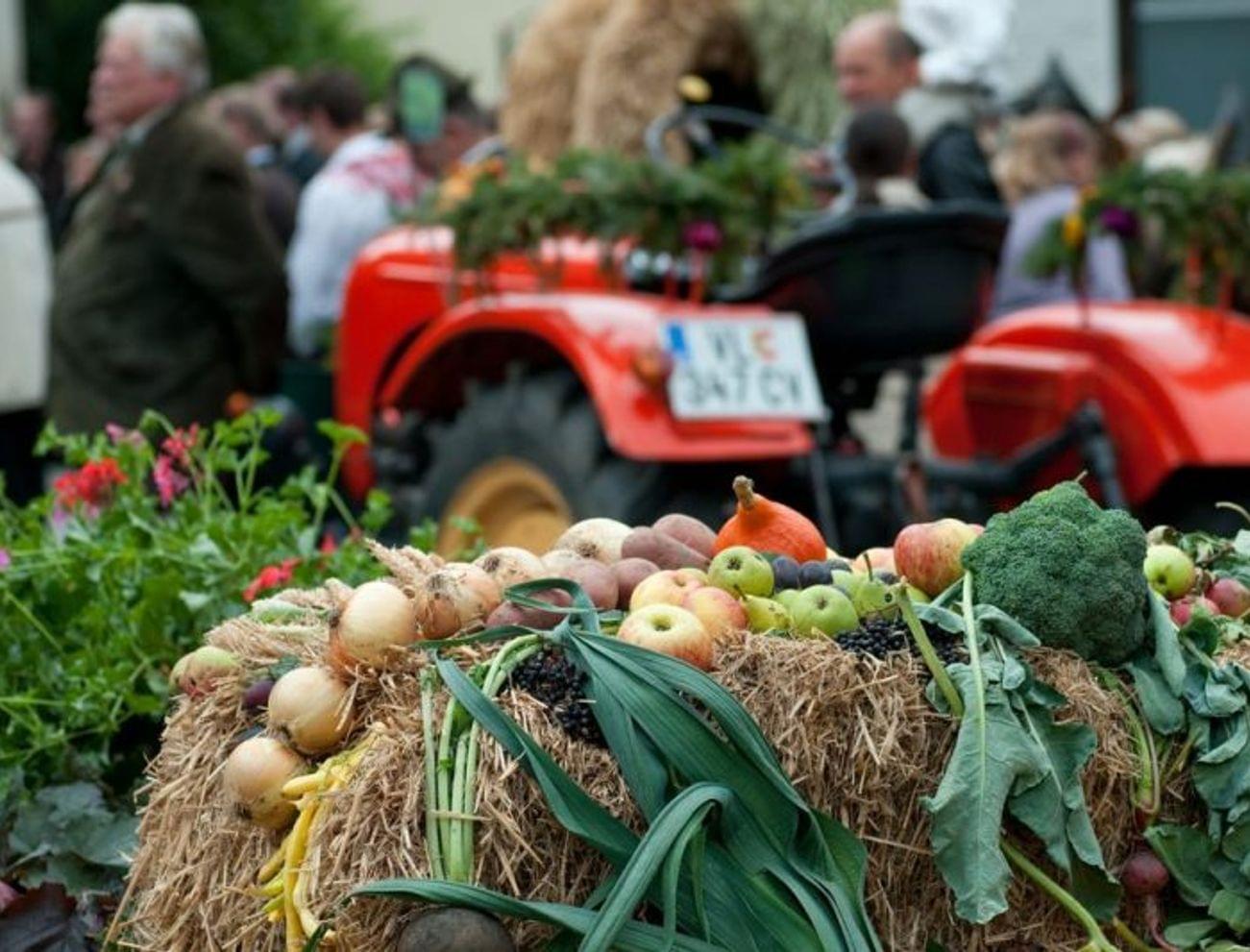 Frisches Gemüse und Obst auf Heuballen beim Erntedankfest mit rotem Traktor und Menschenmenge im Hintergrund