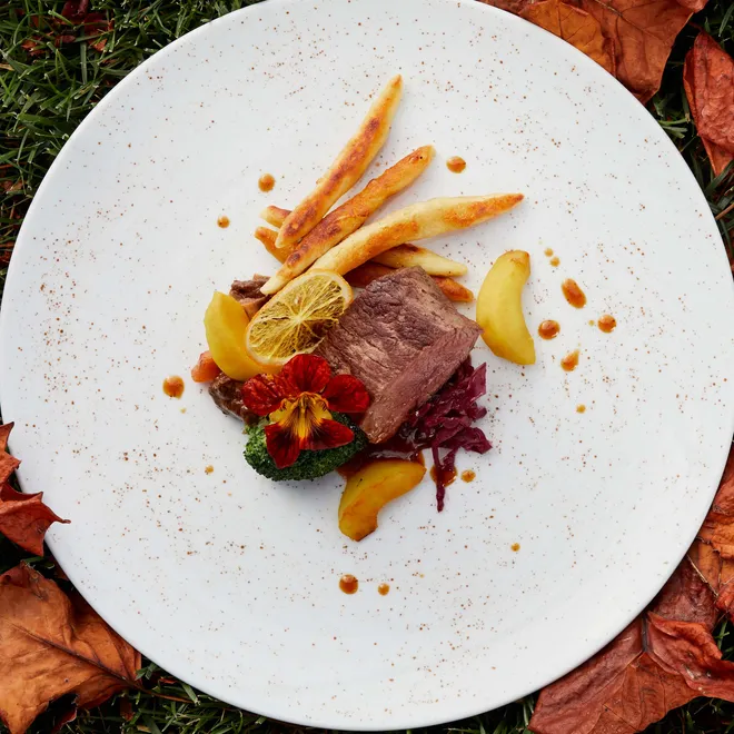 Gourmet beef dish with root vegetables and garnish on white plate surrounded by autumn leaves