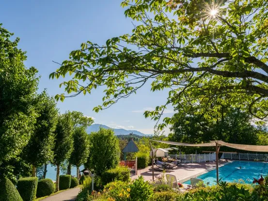 Außenpool umgeben von Bäumen mit Bergblick und klarem Sonnenschein