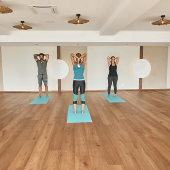 Fitnessgruppe übt Yoga-Positionen auf Matten in einem geräumigen Studio