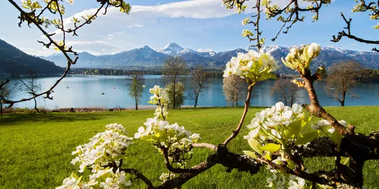 Spring Lake Faaker See