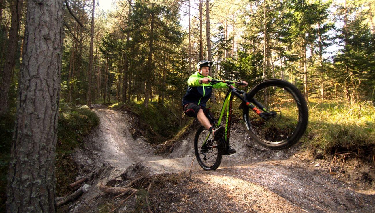 Mountain biker performing a wheelie on a forest trail in bright daylight