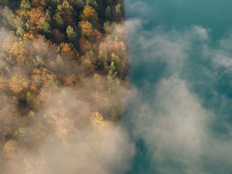 Nature Lake Faaker See