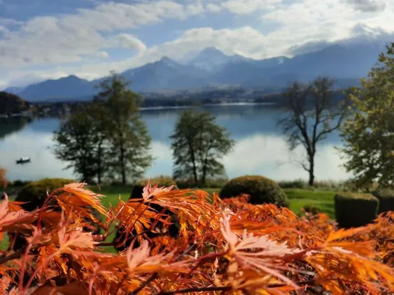 Herbstlaub im Vordergrund mit See und verschneiter Bergkette im Hintergrund