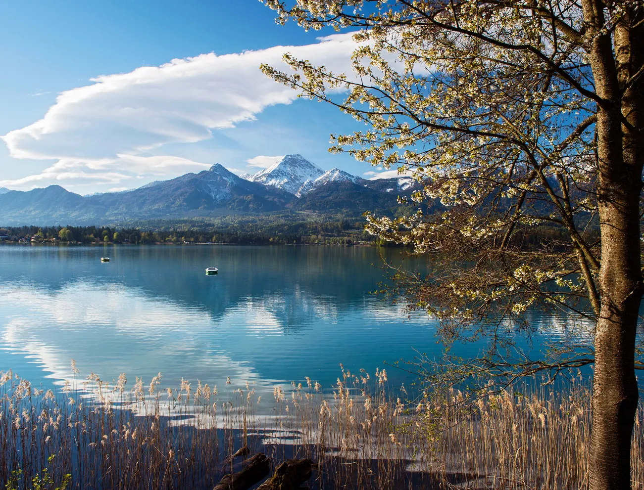 Spring Lake Faaker See