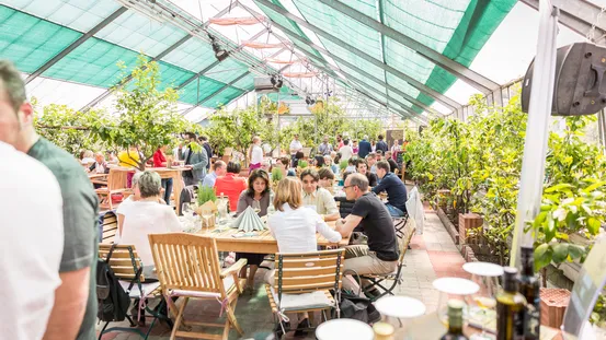 Menschen essen und unterhalten sich in einem hellen Gewächshaus-Restaurant mit Pflanzen und Tageslicht