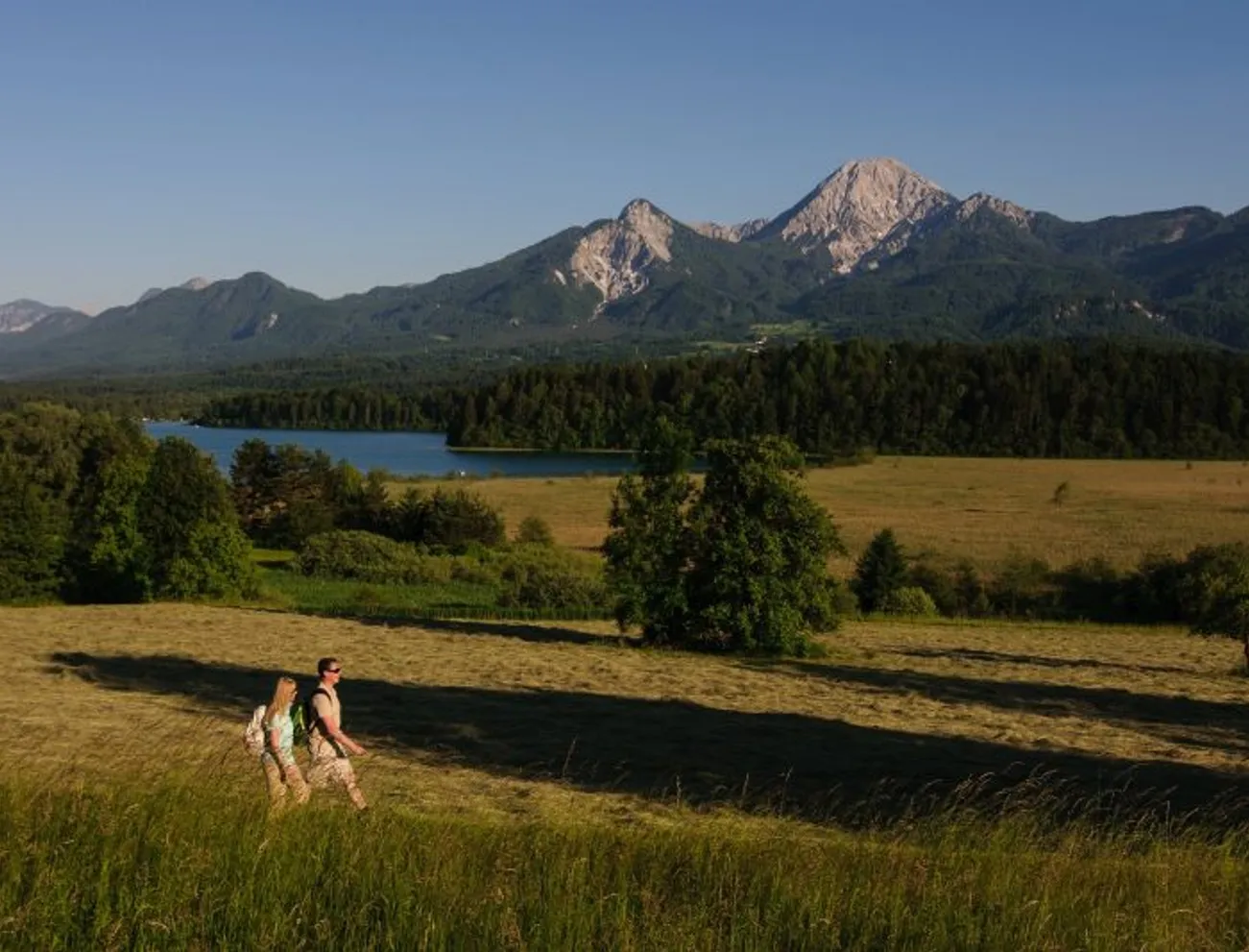 Wanderer gehen durch eine Almwiese mit See und Bergpanorama im Sommer