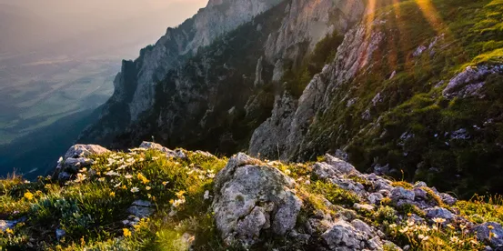 Sonnenaufgang über felsigem Bergrücken mit Wildblumen und Panoramablick ins Tal