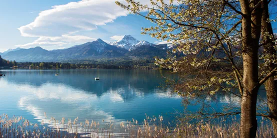 Frühling Faaker See