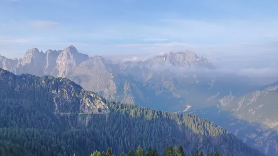 Panoramablick auf die Alpen mit Nadelwald und nebelverhüllten Gipfeln unter blauem Himmel