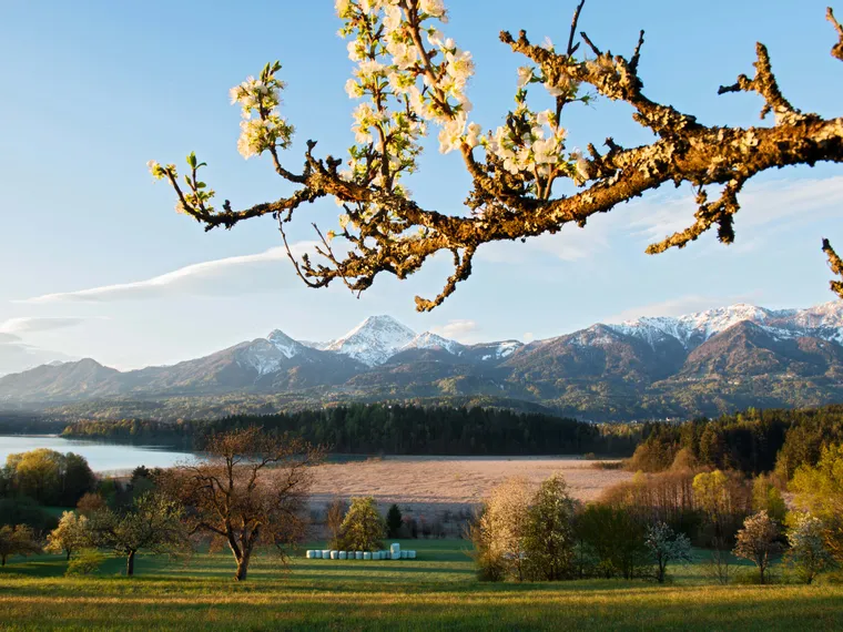 Spring Lake Faaker See