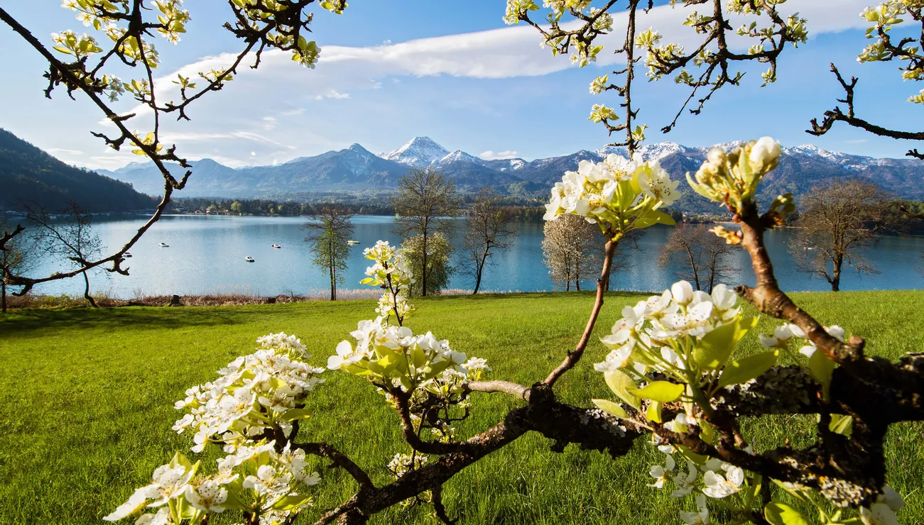 Spring Lake Faaker See