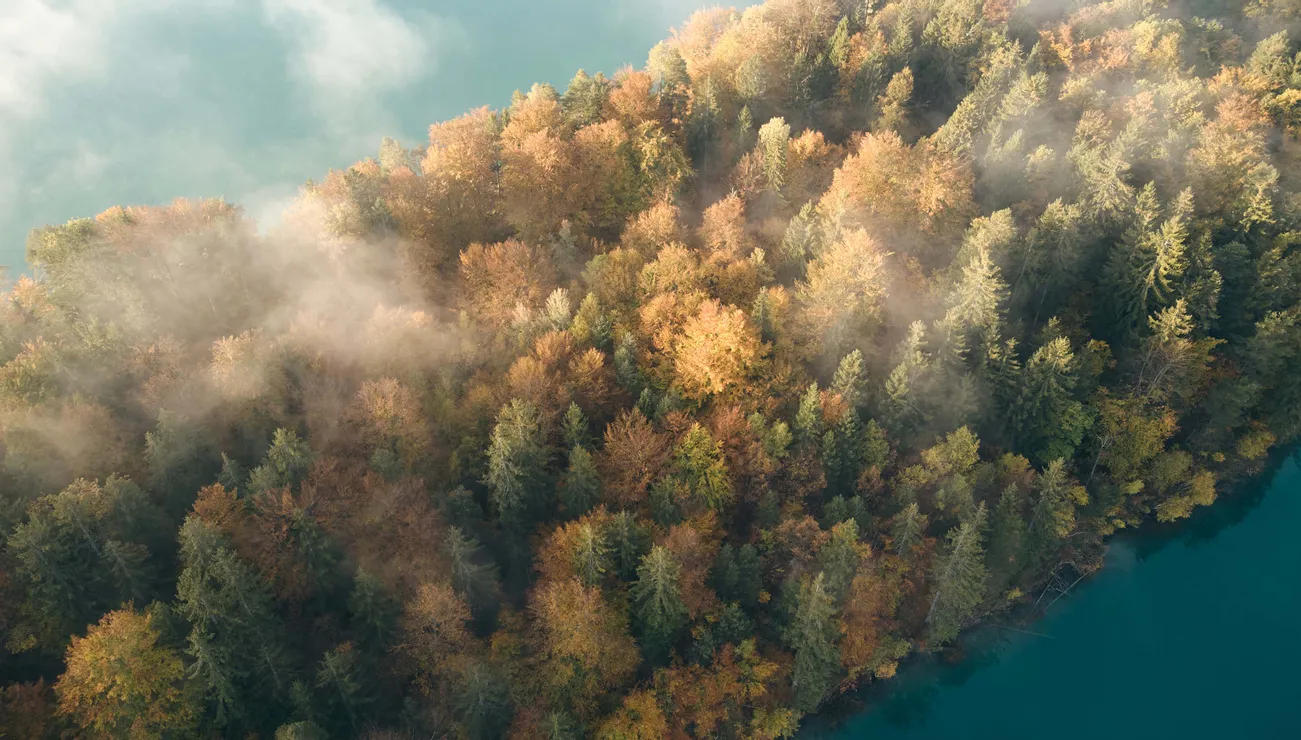 Natur Faaker See