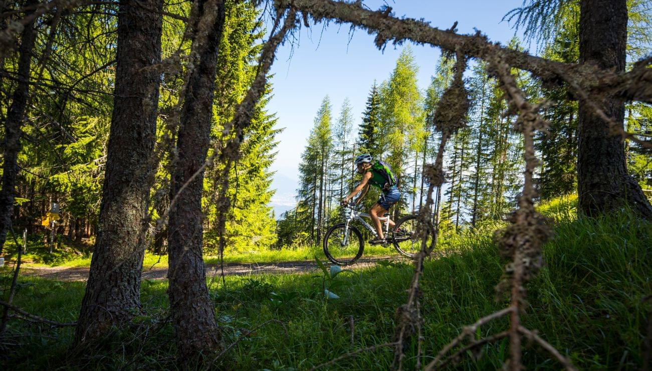 vier-sterne-hotel-karnerhof-faaker-see-oesterreich-radurlaub-mountainbike-wald.jpg