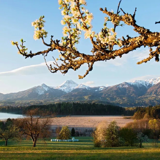 Frühling Faaker See