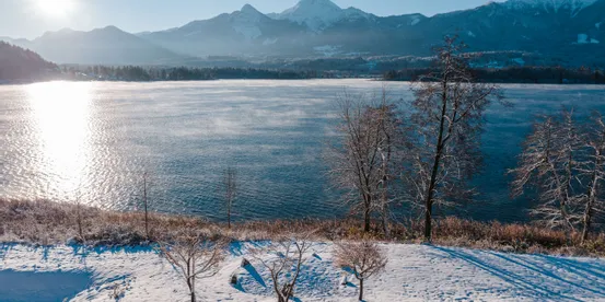 Snow-covered lakeshore with bare trees and mountains in the background under winter sunlight
