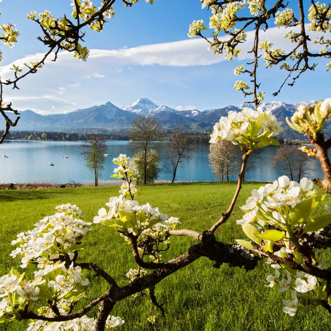 Frühling Faaker See