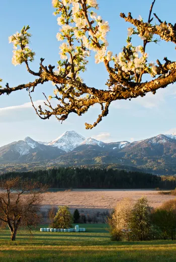 Frühling Faaker See