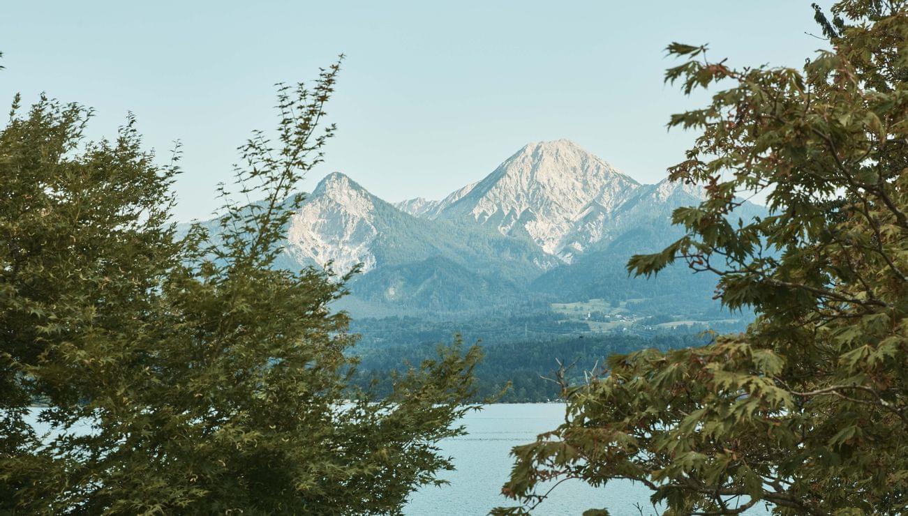 Berglandschaft mit Seeblick, umrahmt von grünen Bäumen im Sommer