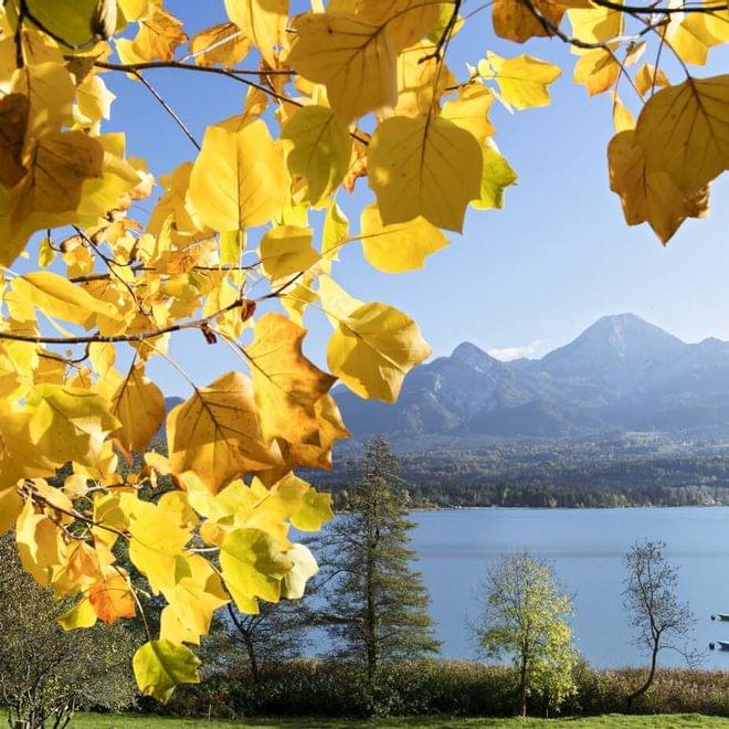 Herbst Faaker See