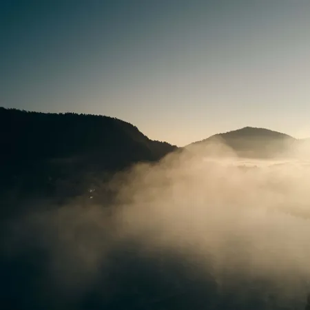 Paesaggio montano nebbioso all'alba con luce soffusa su colline boscose