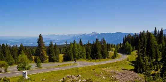 Kurvige Alpenstraße durch Nadelwald mit Bergpanorama im Hintergrund