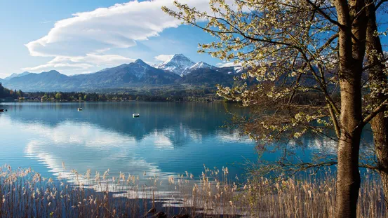 Spring Lake Faaker See