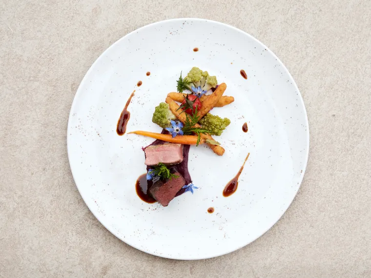 Piatto gourmet con petto d'anatra scottato, romanesco, carota baby, salsa e fiori commestibili