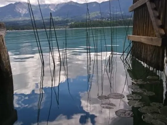 Bergsee mit Wolkenspiegelung im Wasser, Schilf und Seerosen im Vordergrund