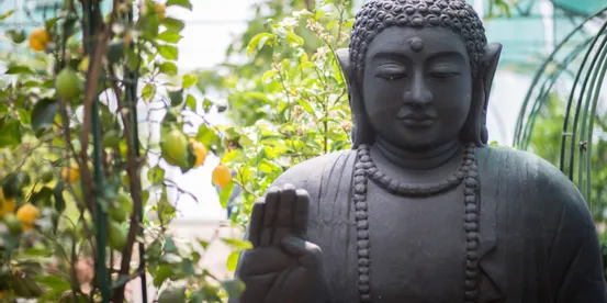 Buddha-Statue in einem ruhigen Garten mit Zitronenbäumen und grünem Laub